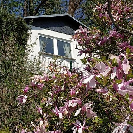 פירנה Das Ferienhaus Mit Aussicht מראה חיצוני תמונה