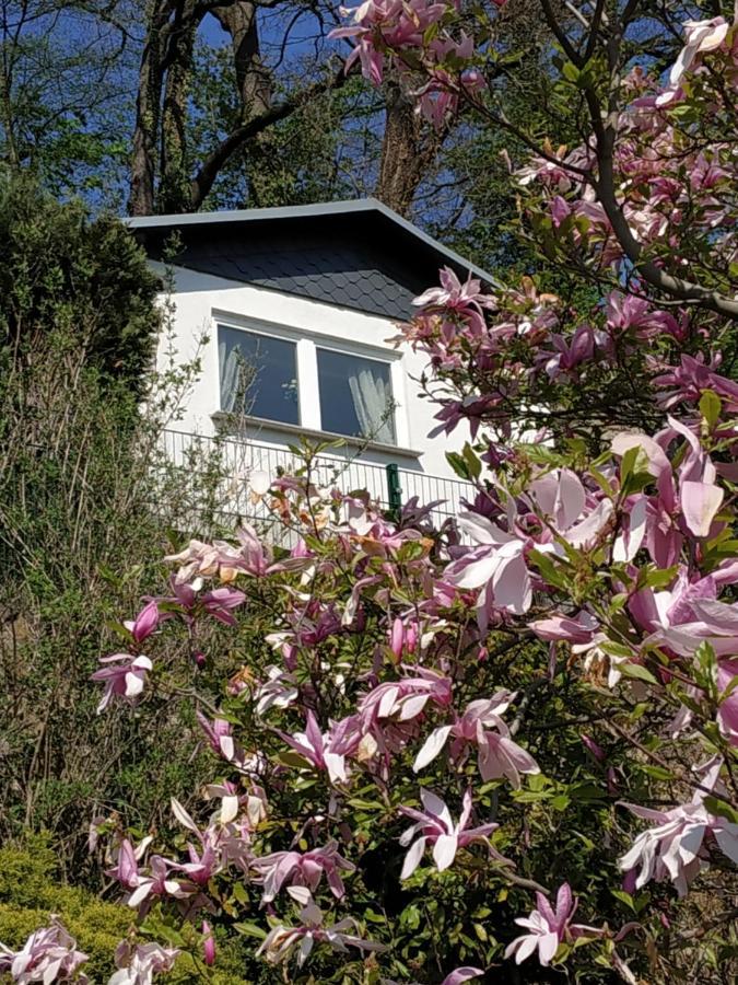 פירנה Das Ferienhaus Mit Aussicht מראה חיצוני תמונה