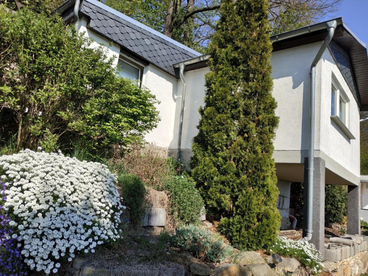 פירנה Das Ferienhaus Mit Aussicht מראה חיצוני תמונה